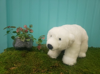 Polar Bear Plush From Rogue River Florist, Grant's Pass Flower Delivery